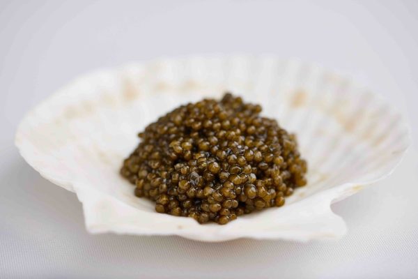 SALMON & ROYAL OSETRA CAVIAR BUNDLE