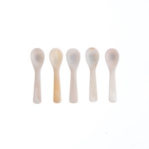 MOTHER OF PEARL SPOON