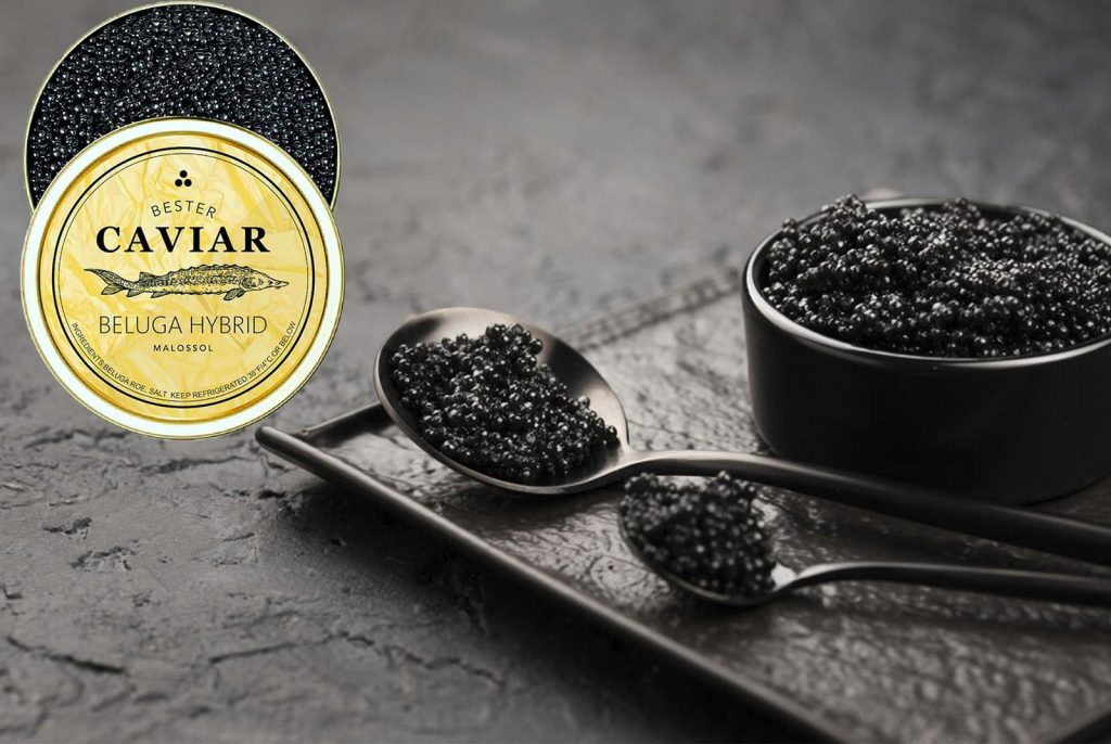 BELUGA CAVIAR: USEFUL FACTS