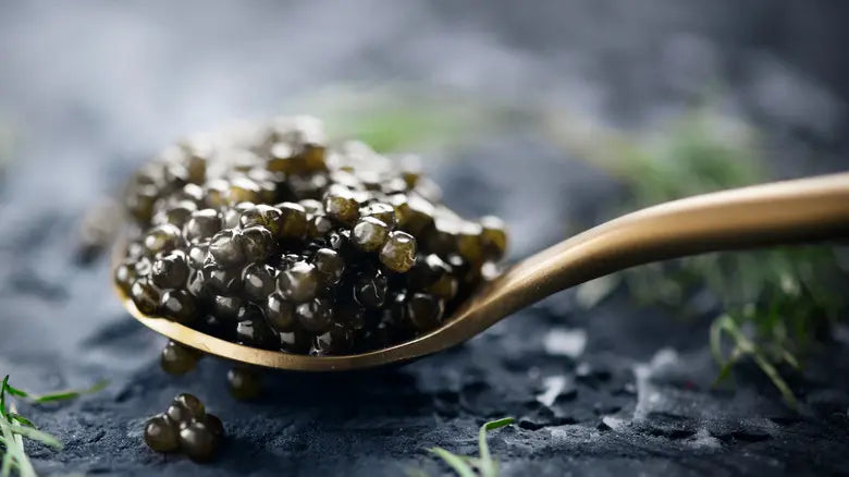 INTRODUCING THE FINEST CAVIAR FOR BEGINNERS - A GUIDE BY BESTER CAVIAR